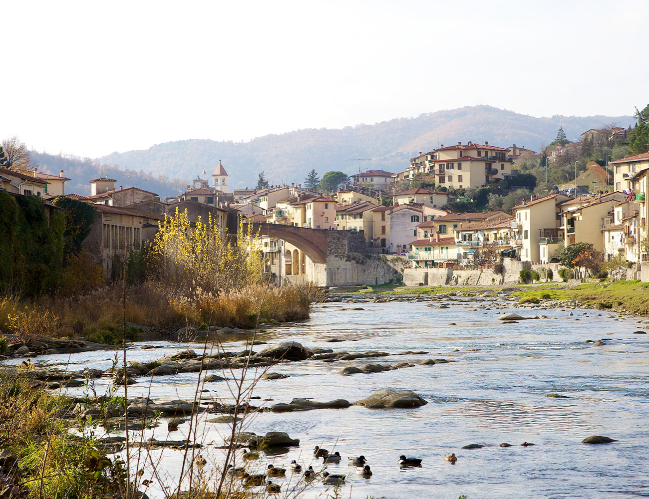 campo toscano